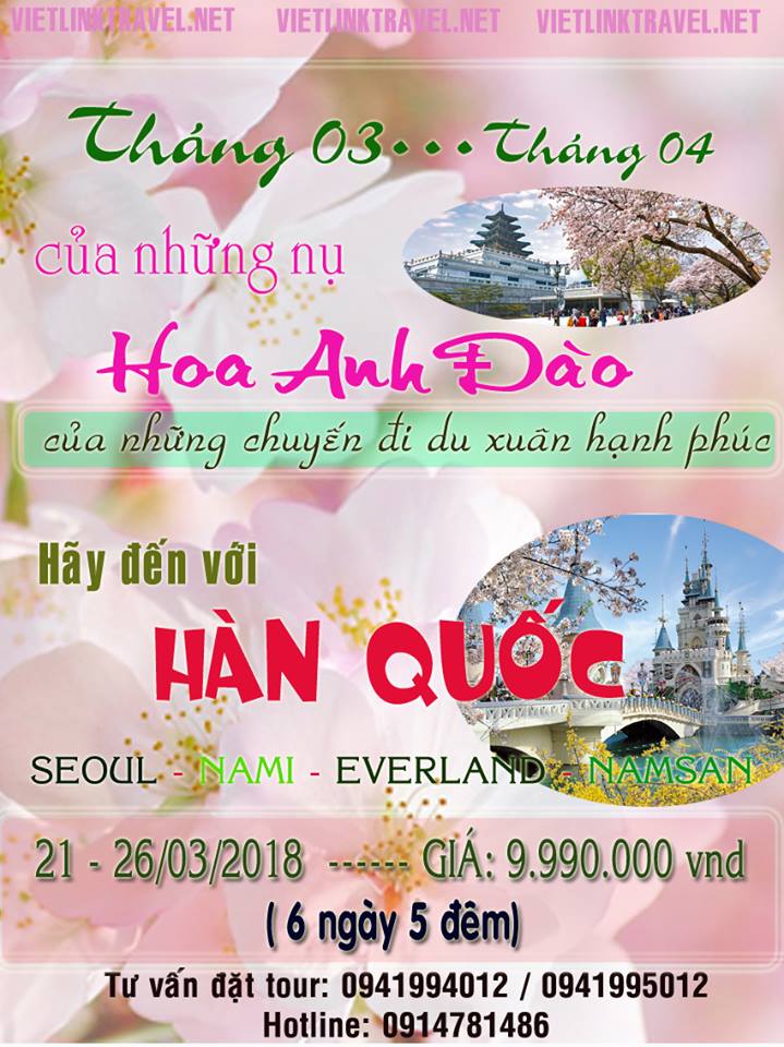 hàn hoa anh đào