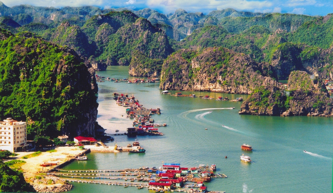 Tour Cát Bà